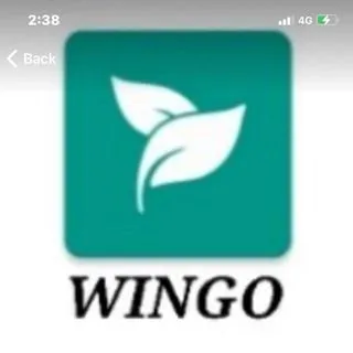 WinApp1 - приложение для Windows