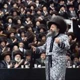 Bobov Nayes - las últimas noticias