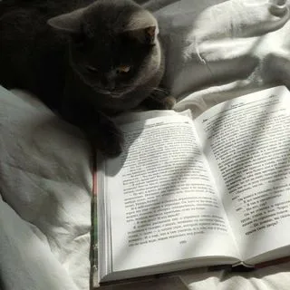 Bookraw - цитаты и эстетика книг