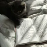 Bookraw - цитаты и эстетика книг