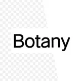 Práctica de botánica - práctica de botánica