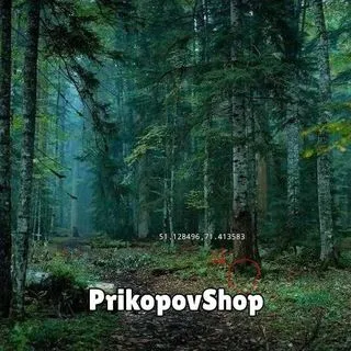 PrikopovShop - магазин BS