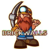 BrickWalls - breaking the wall