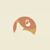 Brotherbird Bakehouse- baking