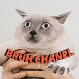 Bruh Chanel - entretenimiento