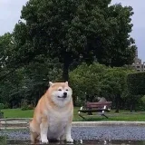 Bruh Zone - memes and humor