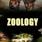 B.Sc. Zoology - биология