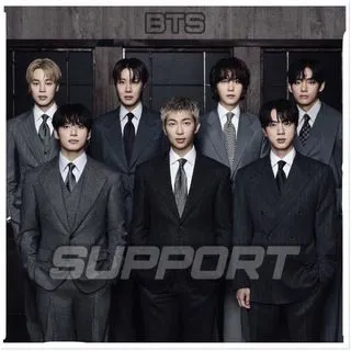 BTS Support - поддержка армии
