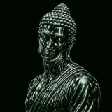 Sabiduría de Buda: La Sabiduría de Buda