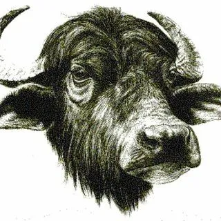 Bufalegram - фактчекинг фейков