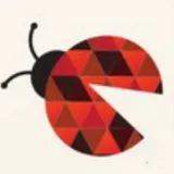 Bug Bounty Channel - Багхантинг