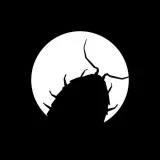 Bugs Bro Bugs - баги и мемы