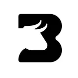 BullCapital & CO.
