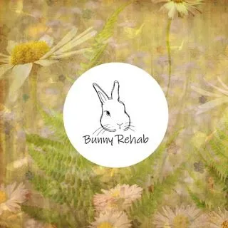 Bunny Rehab - приют кроликов