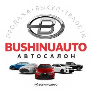 BUSHINUAUTO SALON - авто без скрученных пробегов