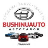 BUSHINUAUTO SALON - авто без скрученных пробегов