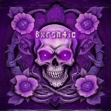 Bxrsh4ic - Productor Funk.