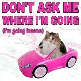 In Smart Move - код и юмор