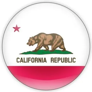 California MAGA - Аудит выборов