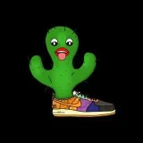 CactusForce- creative association