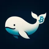 Call of Whales - BSC ETH обзоры