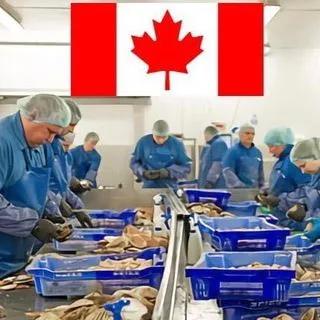 Jobs In Canada - канадские вакансии