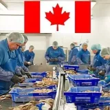 Jobs In Canada - канадские вакансии