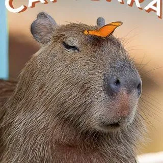 Happy Capybara - дневник капибары
