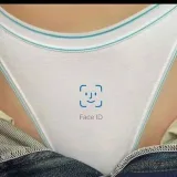 Pussy- Nice cats.