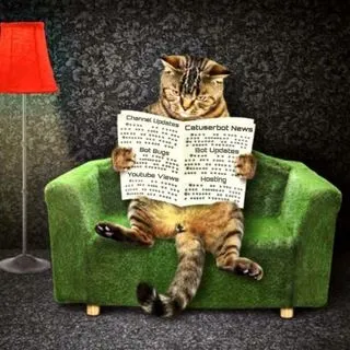 Catuserbot Tips & News - новости и советы