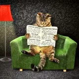 Consejos y noticias de Catuserbot - Noticias y consejos