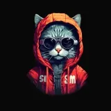 Hoodie's a cat in TON hoodie