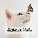 CebisanKata - Цитаты