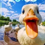 C.E.O MEDIA - seed стартапы