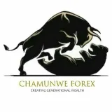 Chamunwe Forex Trial Group - бесплатные сигналы Forex