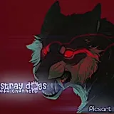Stray Dog Channel - perros callejeros