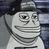 Chief Trumpster - политика Америки