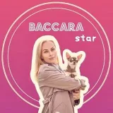 Питомник Чихуахуа Баккара Стар - щенки