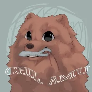 chil.amu - амуниция для животных