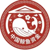 Chinese Pump Capital - Crypto China