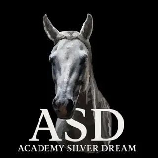 Academy Silver_dream - конный спорт