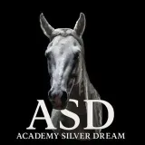 Academia Silver_dream - ecuestre