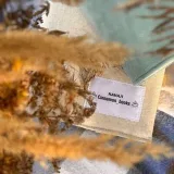 Libros y películas de canela