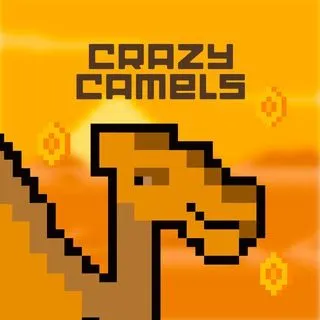 Crazy Camels - бешеные верблюды