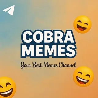 Cobra Memes - смешные мемы