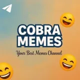 Cobra Memes - смешные мемы