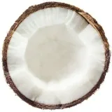 Cocco el enchufe - DramkitesVST