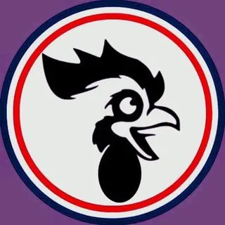 Cock Daily - ежедневные новости