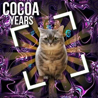 Cocoa Years - истории о кошке Кокоа
