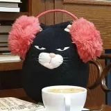 El cathouse es una cafetería para gatos.